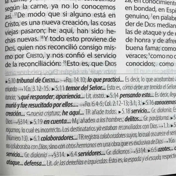 Biblia Textual IV Edición