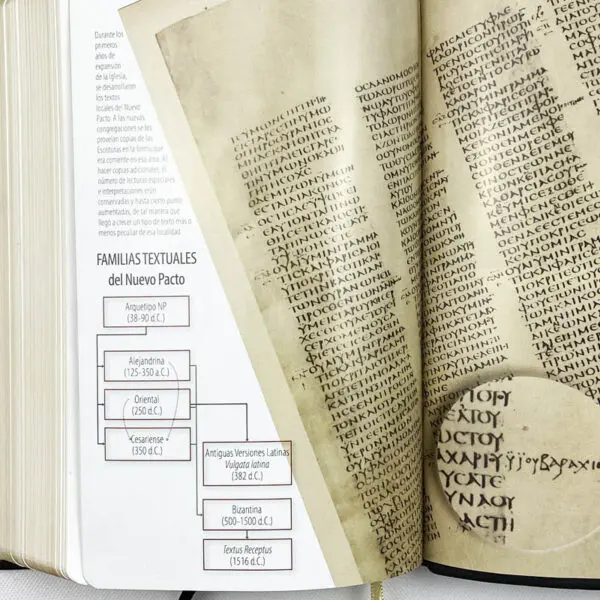 Biblia Textual IV Edición