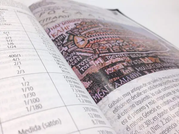 Biblia Textual IV Edición