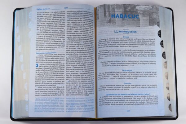 Biblia de Estudio Llamados a la Reconciliación | RVR1960 | Mostaza con Azul
