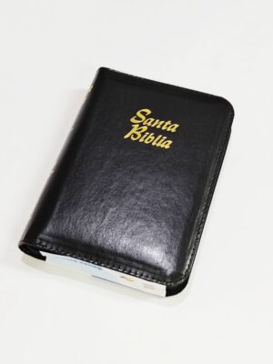 Biblia Reina Valera | Sociedades Bíblicas Unidas