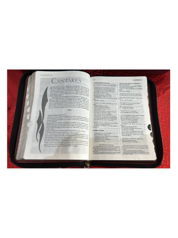 Biblia  RVR 1960 De Estudio Explicada - Imagen 3