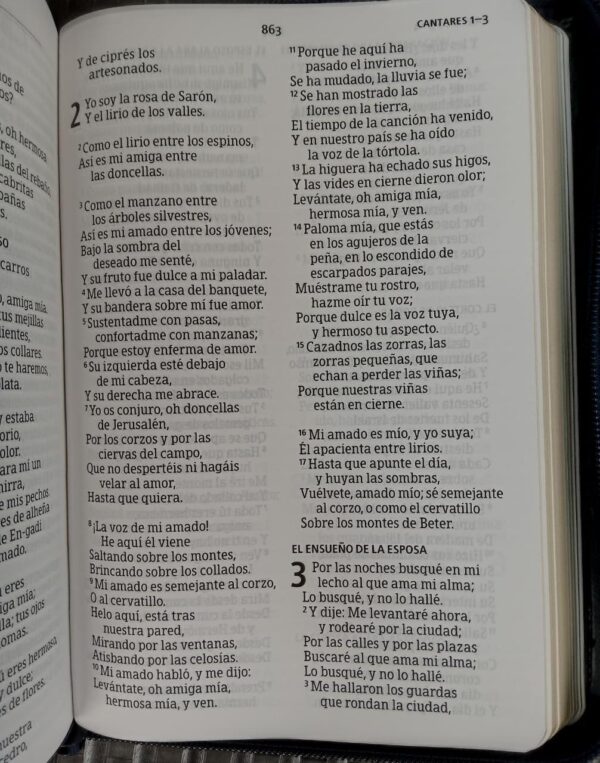 Biblia Reina Valera Letra Grande | Biblias Holman - Imagen 2