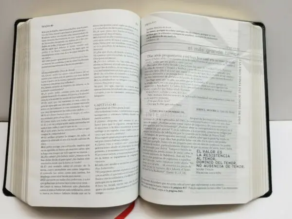 Biblia hombres de Integridad Negra