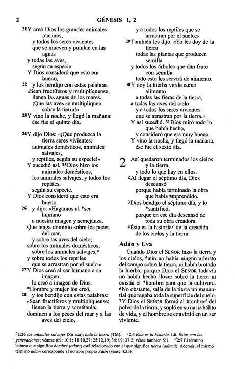 Biblia Para Niños NVI (Spanish Edition) - Zondervan: 9781563204418 -  AbeBooks