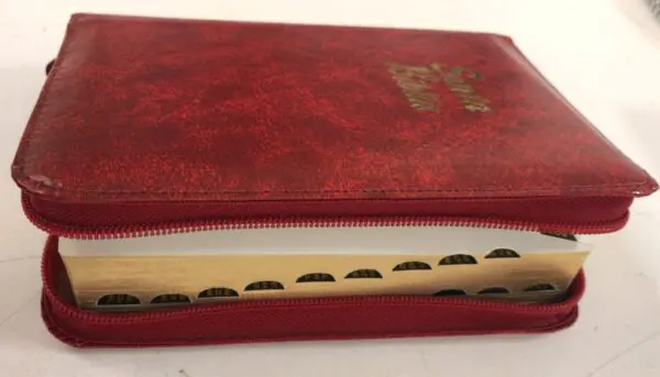 Biblia RVR1960 con cierre - índice pequeño, alcolchada rojiza