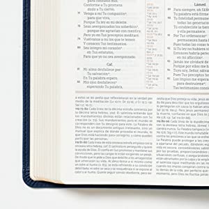 NBLA Biblia de Estudio Gracia y Verdad Azul