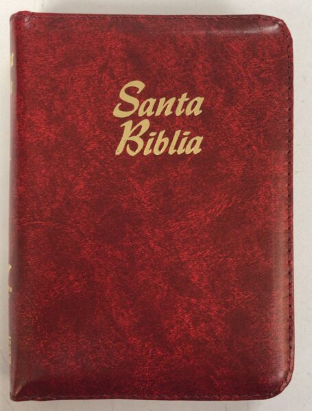 Biblia RVR 1960 con cierre - índice pequeño, alcolchada rojiza