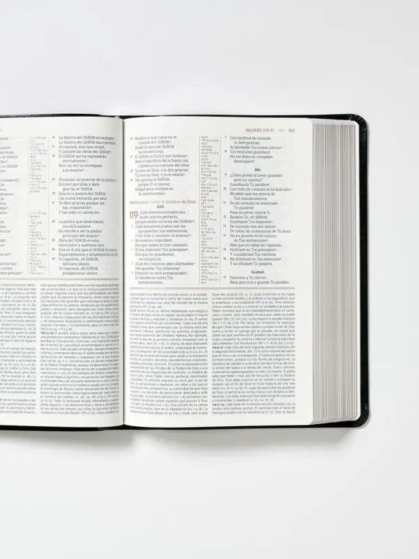 NBLA Biblia Estudio Gracia y Verdad Negra
