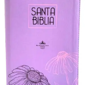 Biblia Reina Valera 1960 - Color Lila - Ayudas Digitales