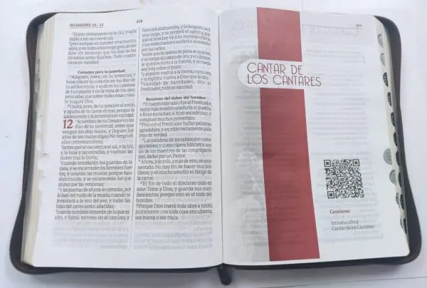 Biblia RVR60 Letra Gigante - León Café