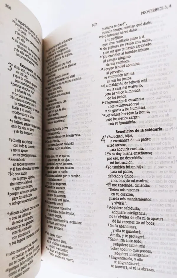 Mi Biblia Ilustrada para Niños 