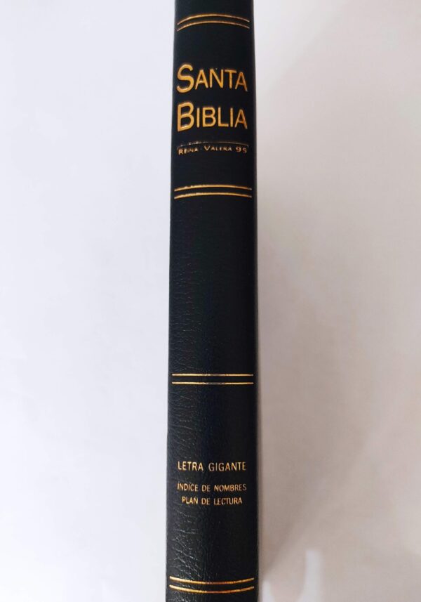 Biblia Reina Valera 1995 Piel Negro