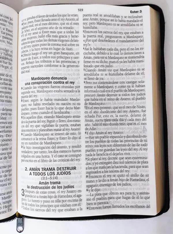 Biblia Reina Valera 1995 Piel Negro