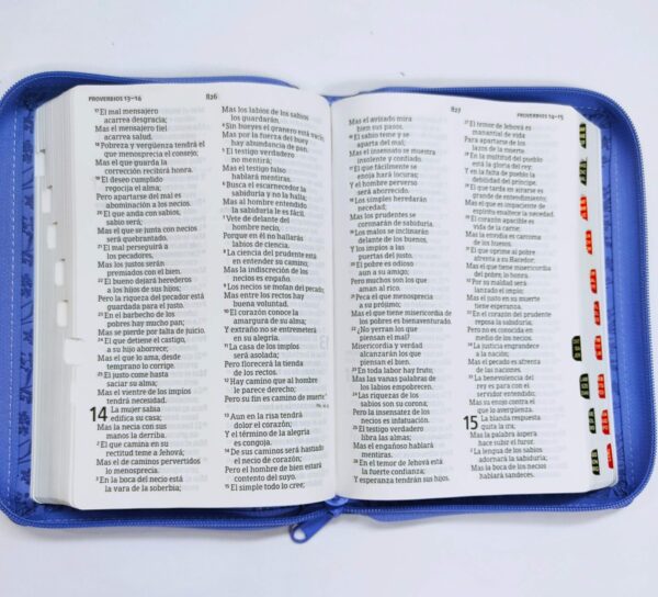 Biblia letra grande Morada, tamaño manual con referencias
