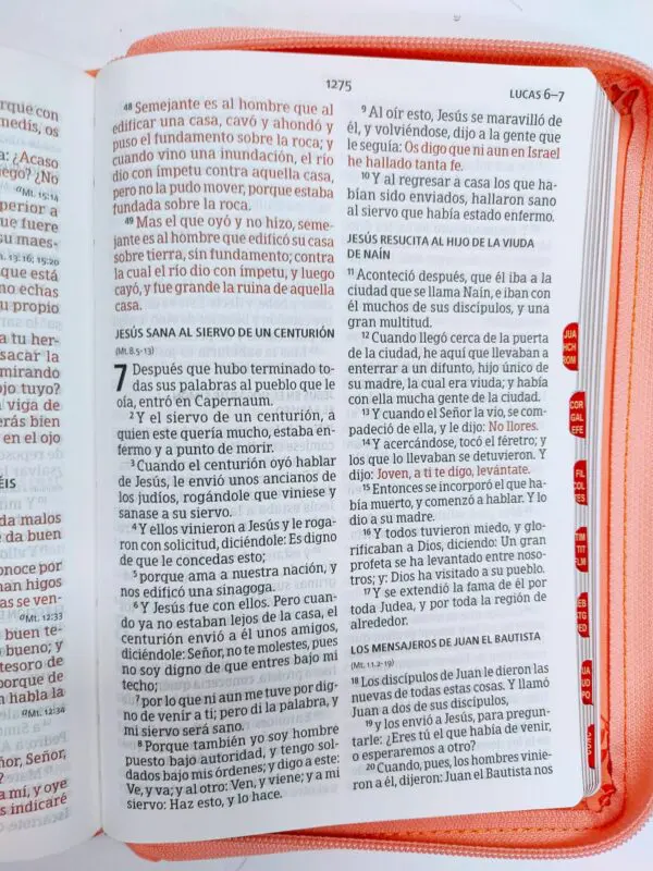 Biblia letra grande Coral, tamaño manual con referencias