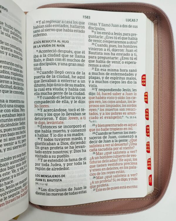 Biblia letra gigante Rosa, tamaño manual con referencias