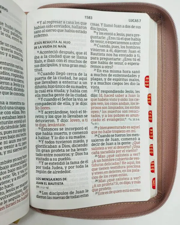 Biblia letra gigante Rosa, tamaño manual con referencias