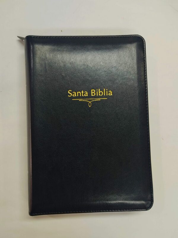 Biblia RVR 1960 Letra Gigante Negra, tamaño manual con referencias