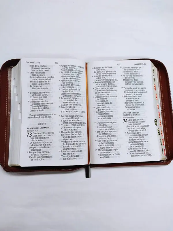 Biblia letra gigante Marrón, Referencias, tamaño manual