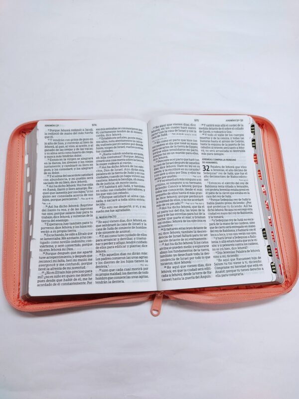 Biblia letra grande Coral, tamaño manual con referencias