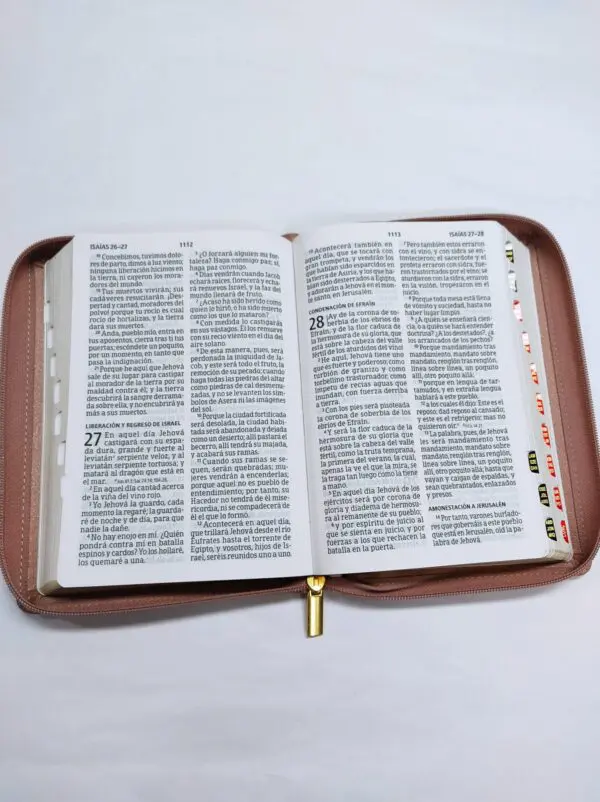 Biblia letra gigante Rosa, tamaño manual con referencias