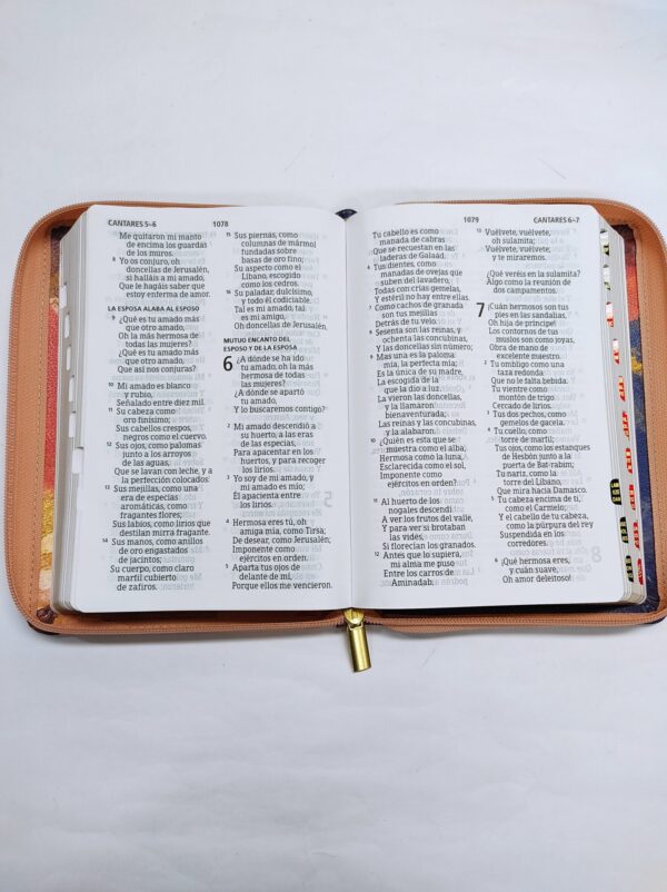 Biblia RVR 1960 Letra Gigante Multicolor, tamaño manual con referencias