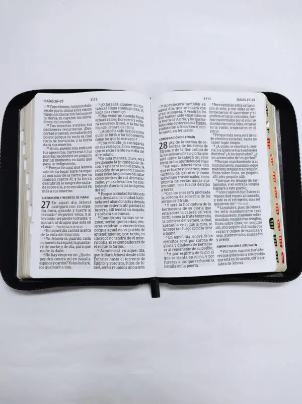 Biblia RVR 1960 Letra Gigante Negra, tamaño manual con referencias