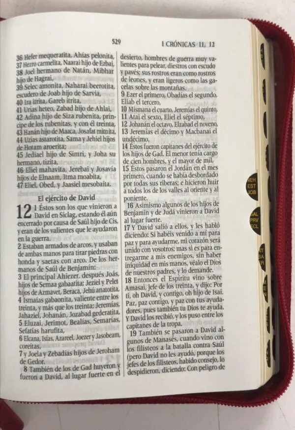 Biblia RVR1960 con cierre - índice pequeño, alcolchada rojiza