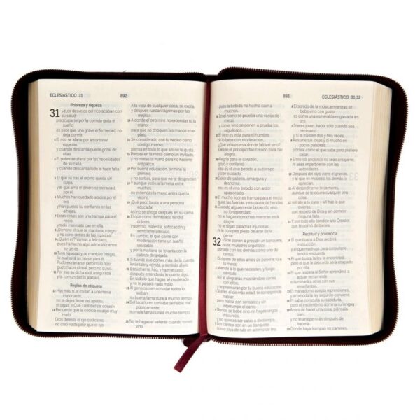 Biblia DHH Letra Grande Vinotinto 055