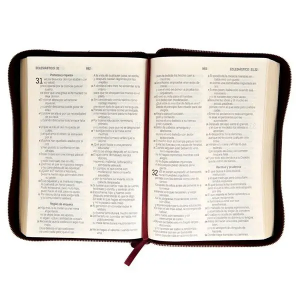 Biblia DHH Letra Grande Vinotinto 055