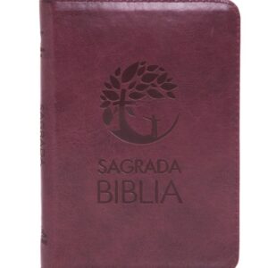Biblia DHH Letra Grande Vinotinto 055