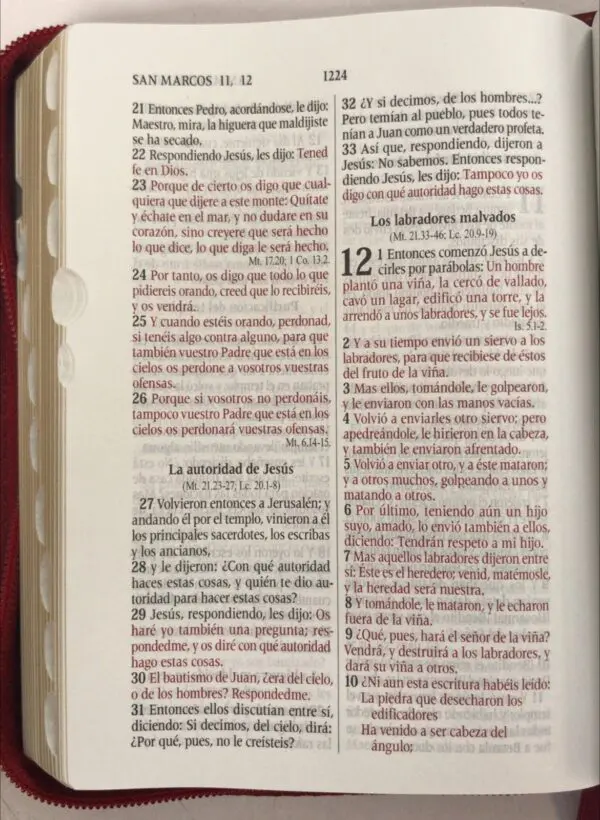 Biblia RVR1960 con cierre - índice pequeño, alcolchada rojiza