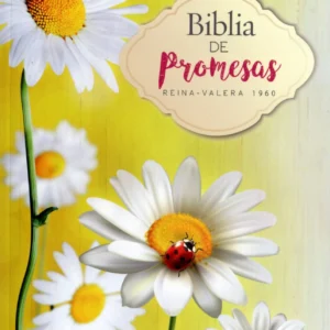 Biblia Promesas Economica Mujeres
