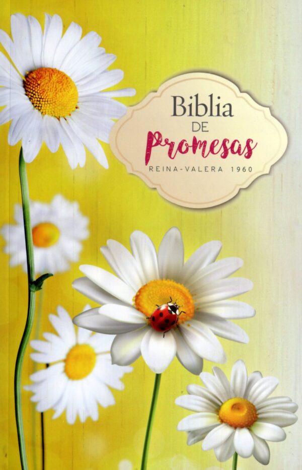 Biblia Promesas Economica Mujeres