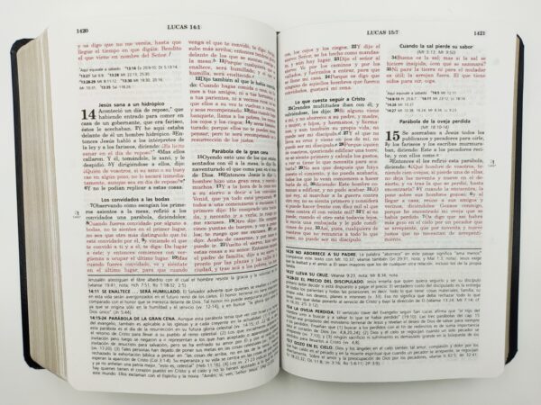Biblia de Estudio Vida Plena Negra [Biblia] Reina Valera 1960 Imitación Piel