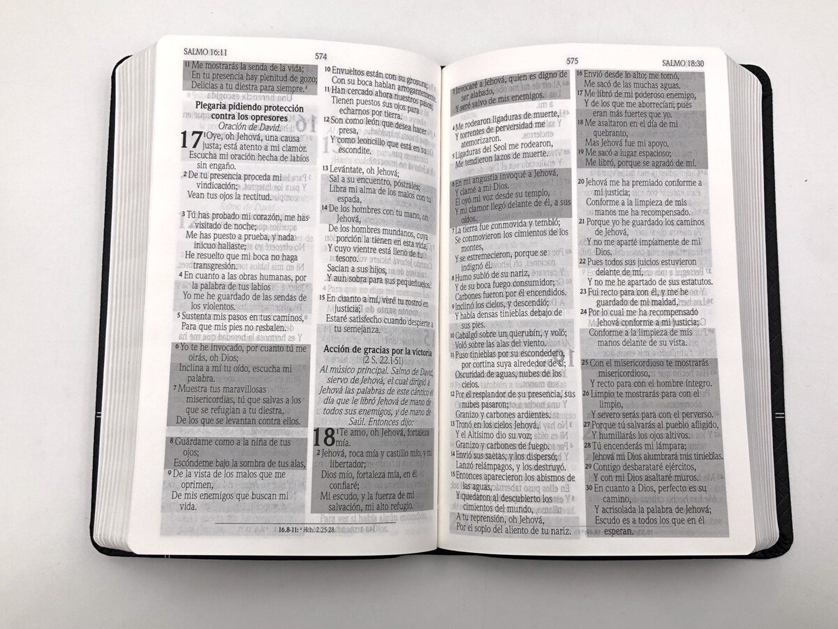 Biblia de Promesas Tamaño Manual Negro Imitación Piel RVR60 - Imagen 4