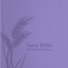 Biblia de Promesas Tamaño Manual Lavanda Imitación Piel RVR60