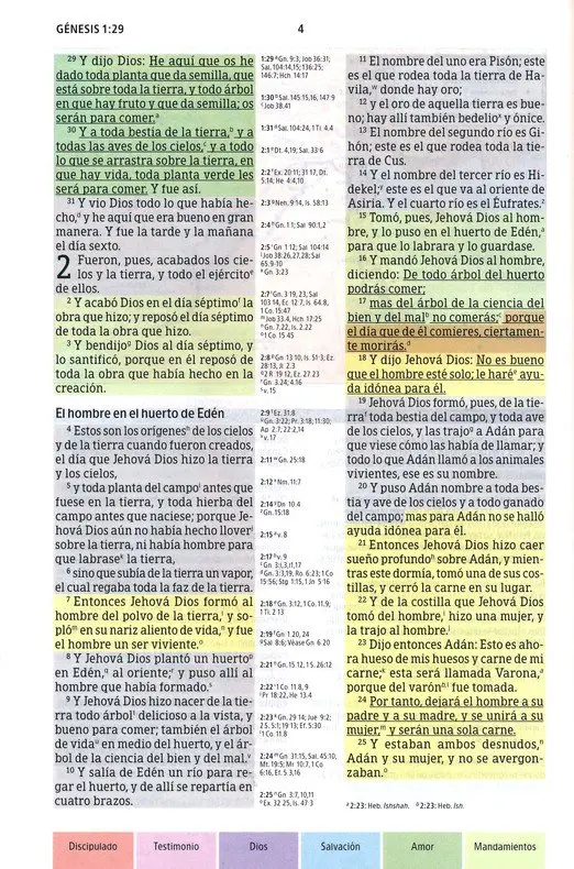RVR1960 Biblia Arcoiris Multicolor de Estudio, tapa dura.