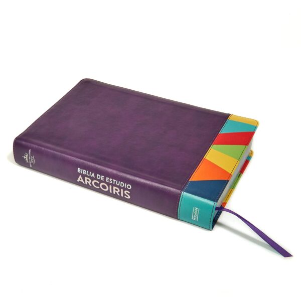 RVR1960 Biblia Arcoiris, Morada / Multicolor, de Estudio