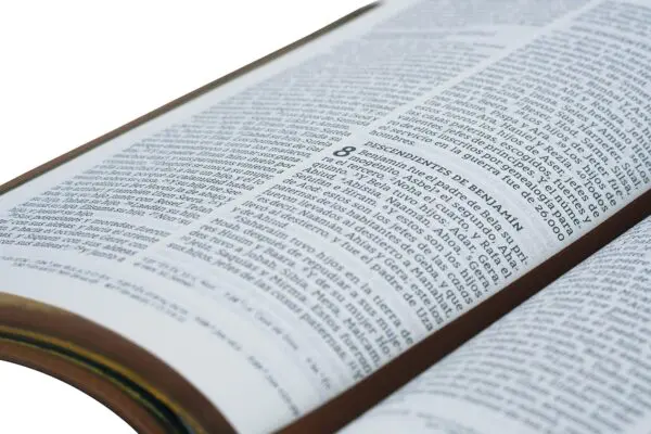NBLA Biblia Ultrafina: Café, Letra Grande, Colección Premier, Edición Limitada