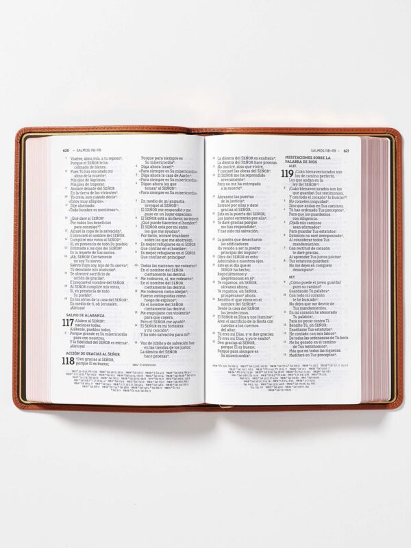 NBLA Biblia Ultrafina: Caramelo, Letra Grande, Colección Premier, Edición Limitada