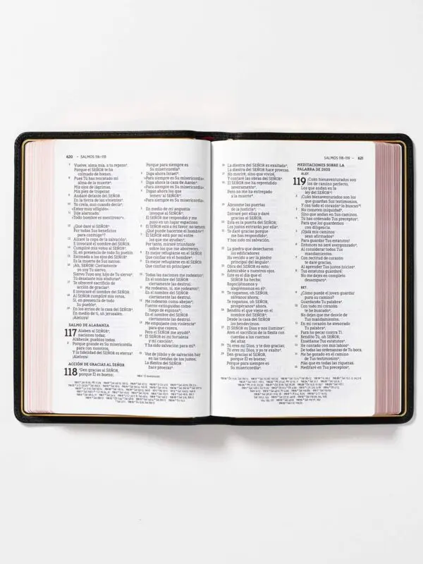 NBLA Biblia Ultrafina Negro, Letra Grande, Colección Premier