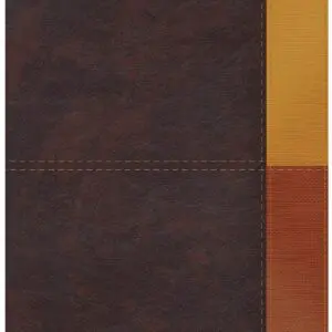 RVR1960 Biblia Arcoiris, cocoa/ terracota símil piel, de Estudio