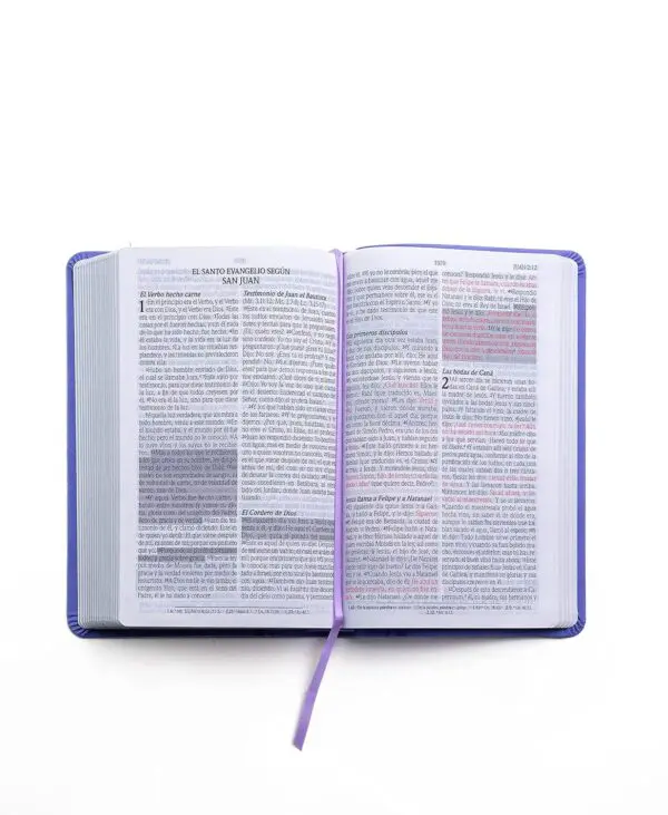 Biblia de Promesas Tamaño Manual Lavanda Imitación Piel RVR60 - Imagen 2