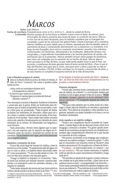 Biblia de promesas NTV Rústica
