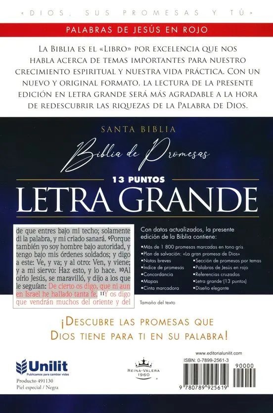 Biblia de promesas letra grande Negra imitación piel RVR60