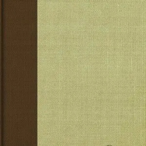 RVR 1960 Biblia de estudio Spurgeon, marrón claro, tela