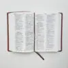 Biblia Manual Letra Grande - Imagen 5