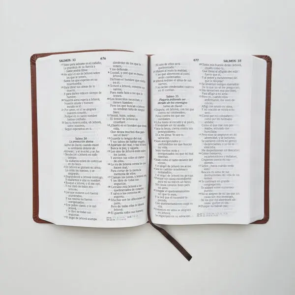 Biblia Manual Letra Grande - Imagen 5